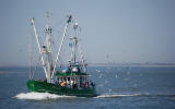 Fischkutter Ausflugsschiff Nähe Langeoog